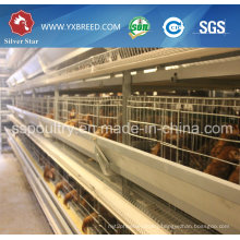 Battery Chicken Cage Poultry Equipment